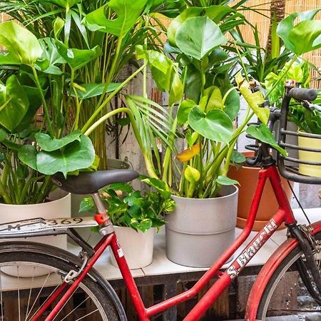 Puccinotti House Apartman Firenze Kültér fotó