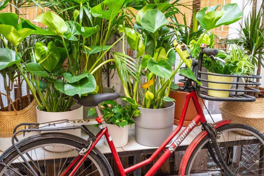 Puccinotti House Apartman Firenze Kültér fotó